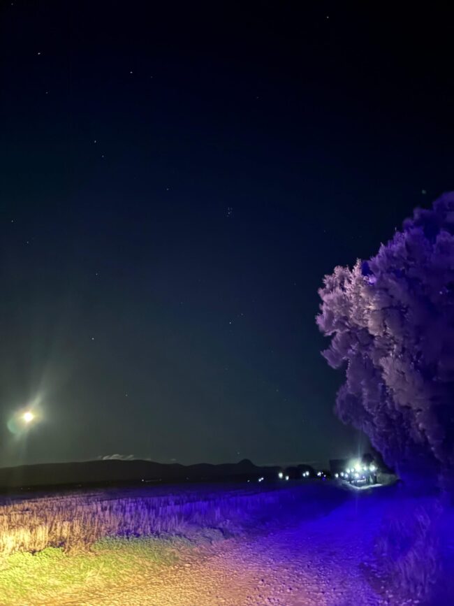 925e3242-772e-4bce-8c87-8c58c06605c2